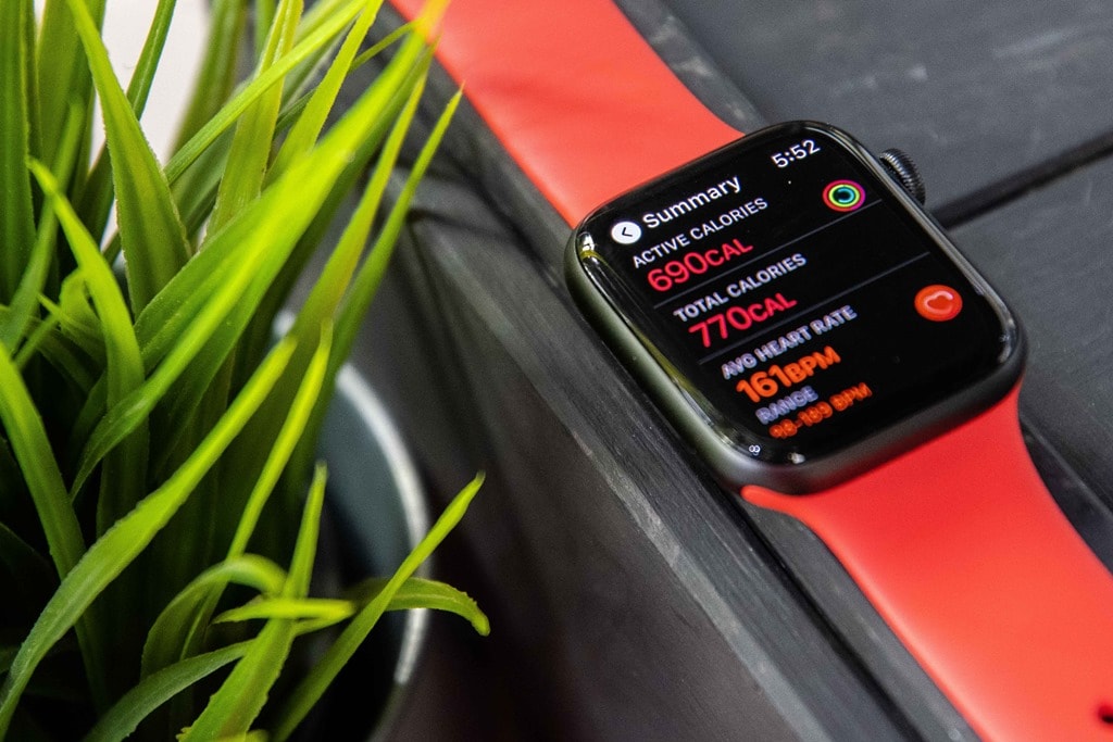 Apple Watch SE SE-trong-iPhone-SE-Apple-Watch-SE-nghia-la-gi