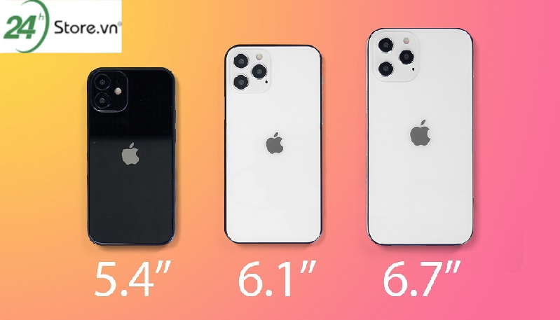So sánh kích thước iPhone 12 thường, 12 mini, 12 Pro, 12 Pro Max