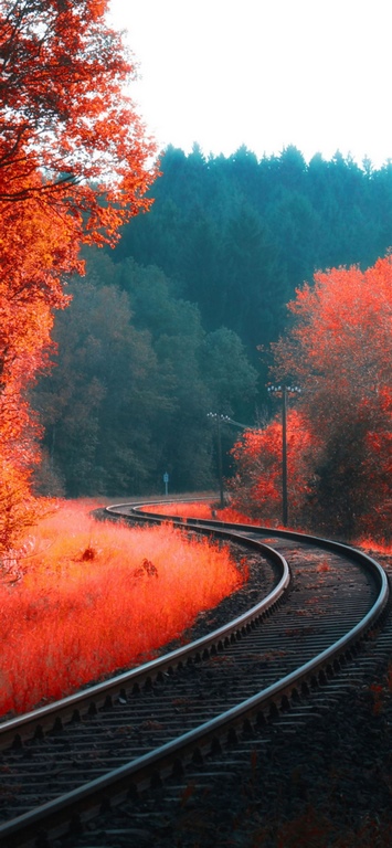 Wallpaper iPhone 12 Pro Max 4k phong cảnh