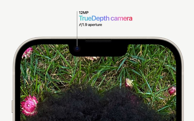 iPhone 14 Plus giữ nguyên tai thỏ