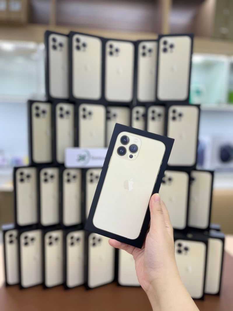 Camera iPhone 13 Pro Max 