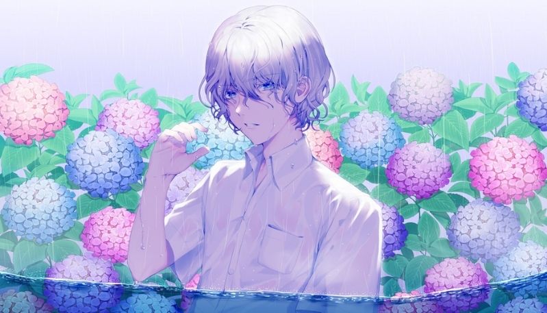 hình ảnh hoa cẩm tú cầu anime