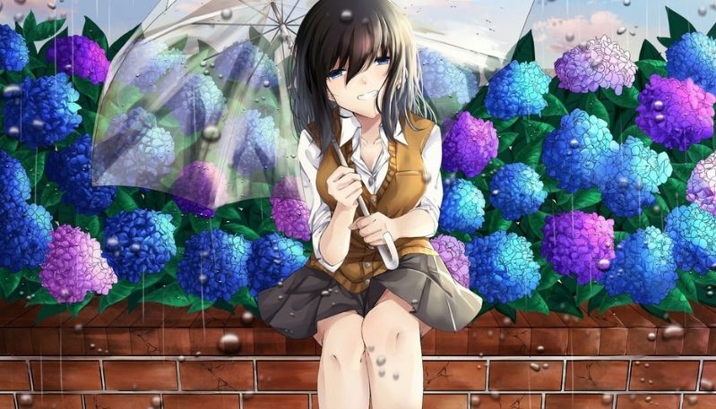 hình ảnh hoa cẩm tú cầu anime