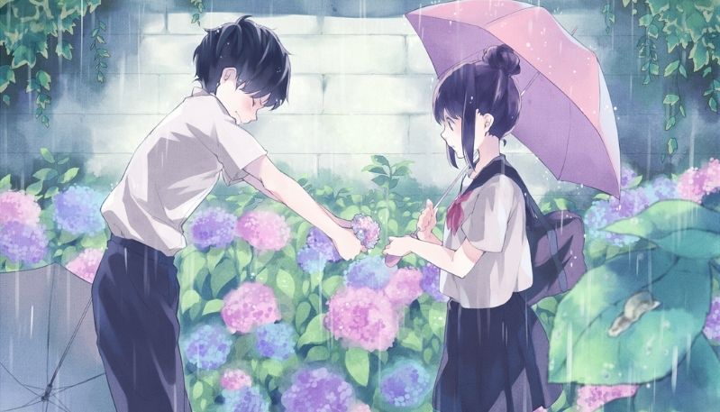 hình ảnh hoa cẩm tú cầu anime