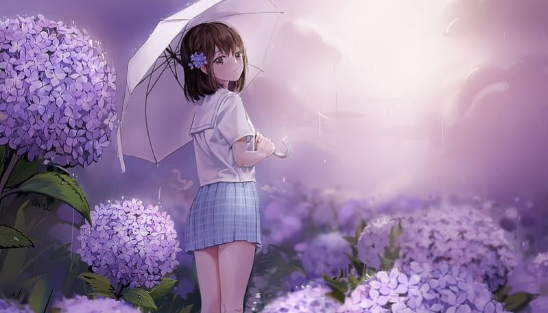 hình ảnh hoa cẩm tú cầu anime