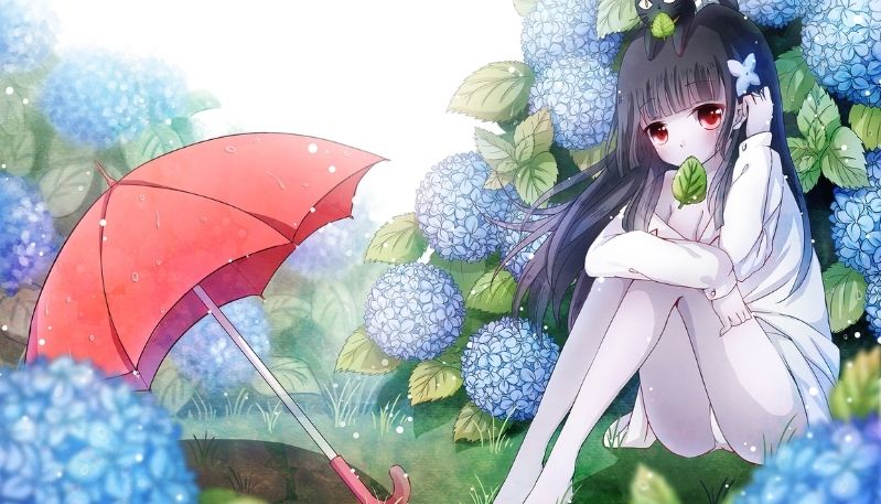 hình ảnh hoa cẩm tú cầu anime