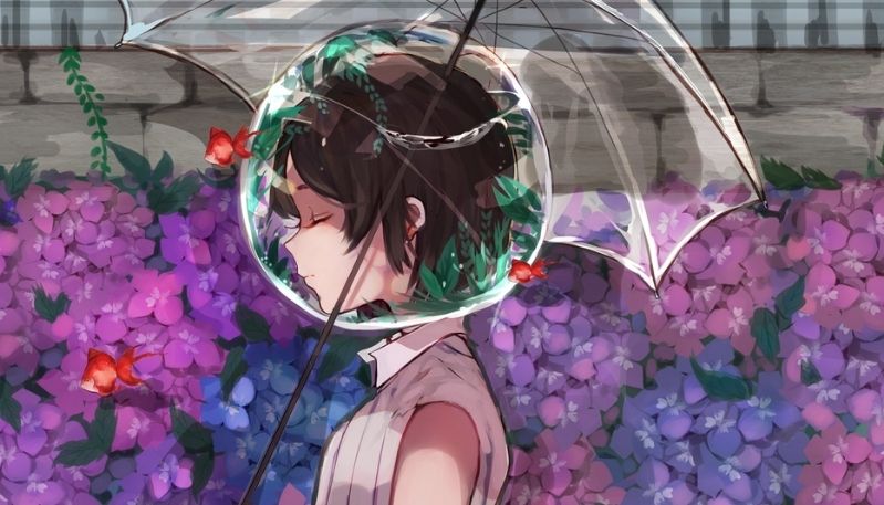 hình ảnh hoa cẩm tú cầu anime