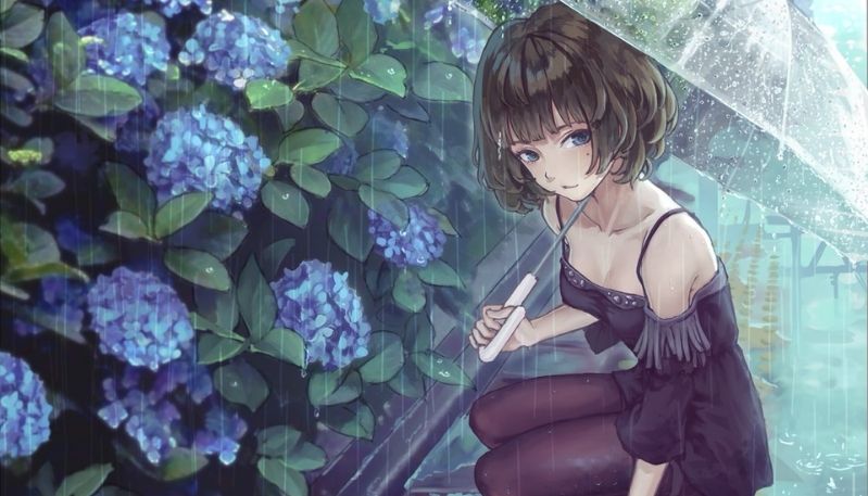 hình ảnh hoa cẩm tú cầu anime