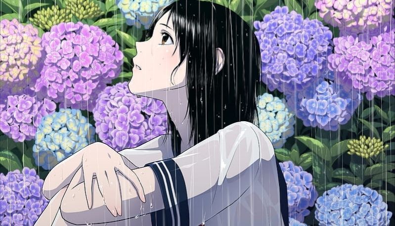 hình ảnh hoa cẩm tú cầu anime