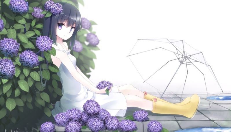 hình ảnh hoa cẩm tú cầu anime