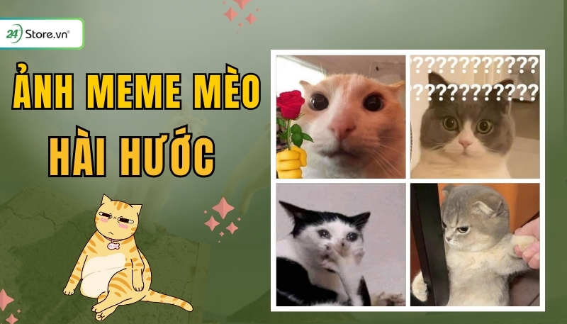 hinh-meme-meo-mo-dau