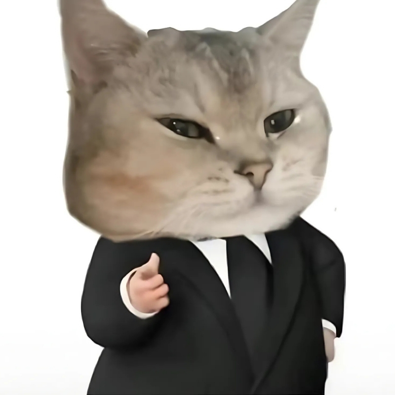 meme mèo biểu cảm vui vẻ