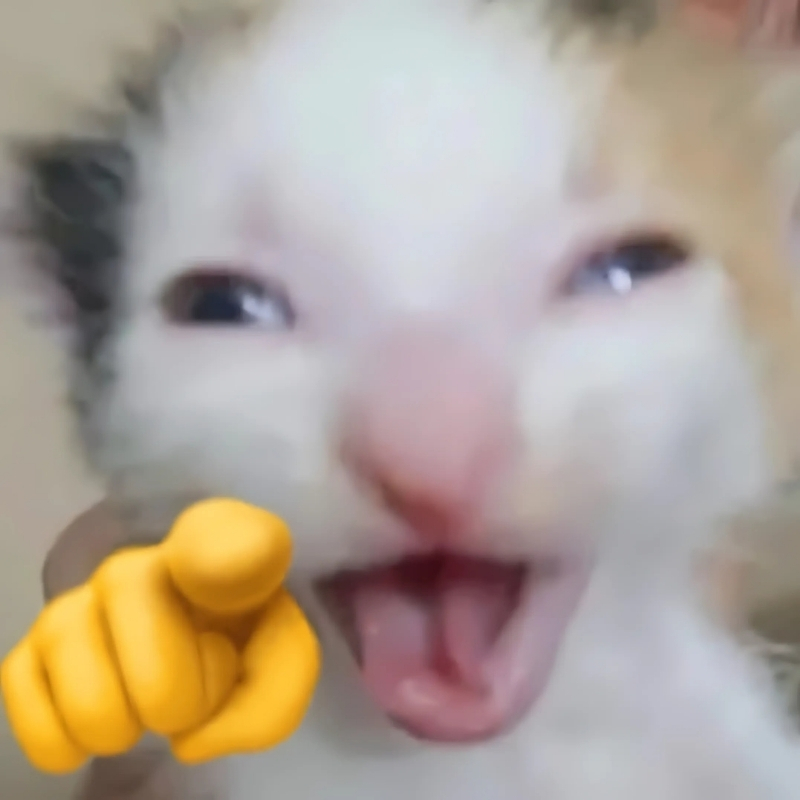 meme mèo cười chỉ tay sang chảnh