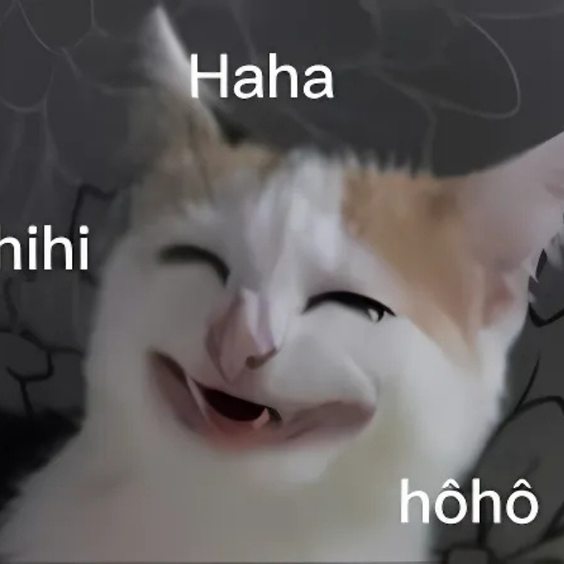 meme mèo cười haha đẹp nhất