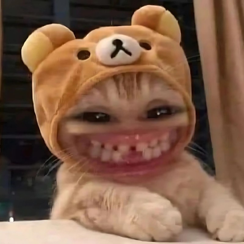 meme mèo cười nhẹ răng màu sắc
