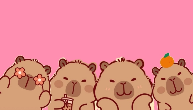 ảnh nền cute capybara dễ thương cực đáng yêu