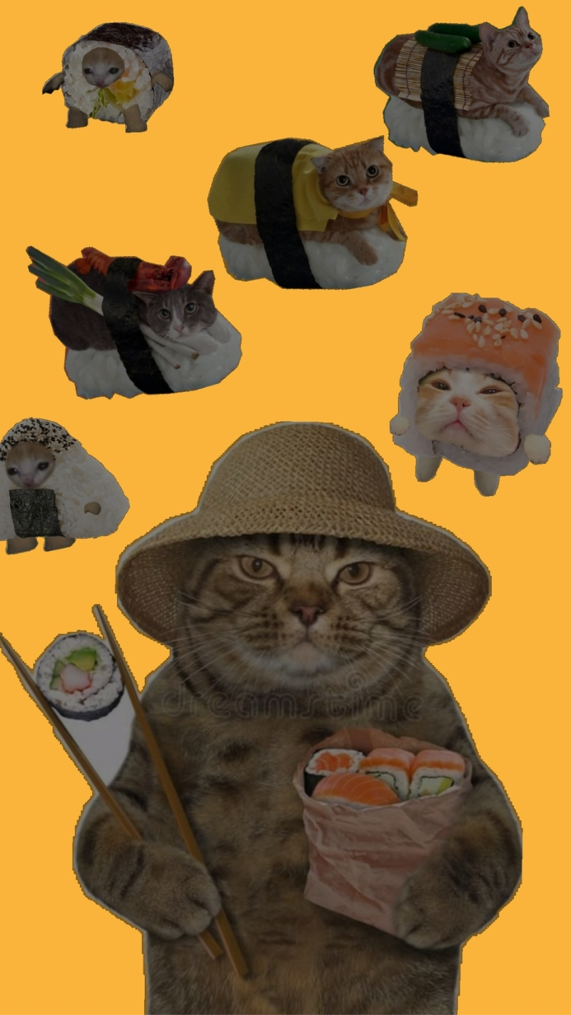 ảnh nền điện thoại mèo meme 4