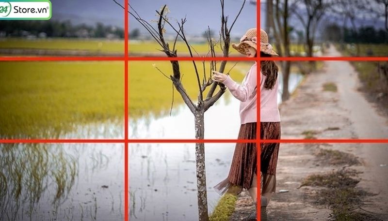 sử dụng quy tắc 1/3