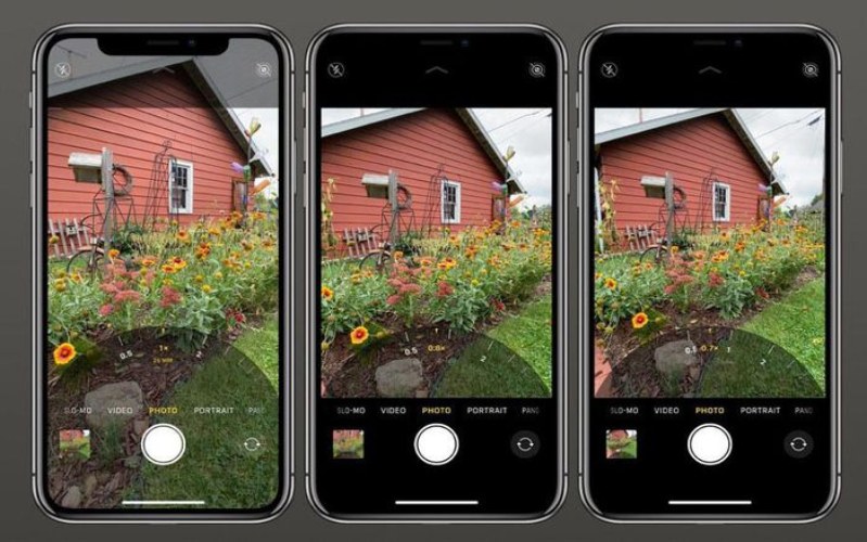 Kiểm tra góc hình khi chụp ảnh hoa trên iPhone 12 Pro