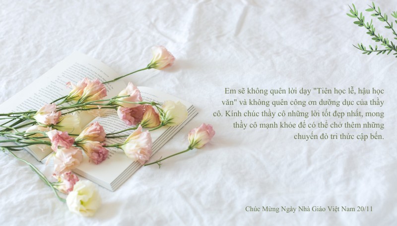 hình ảnh 20/11 kèm lời chúc hay và ý nghĩa nhất