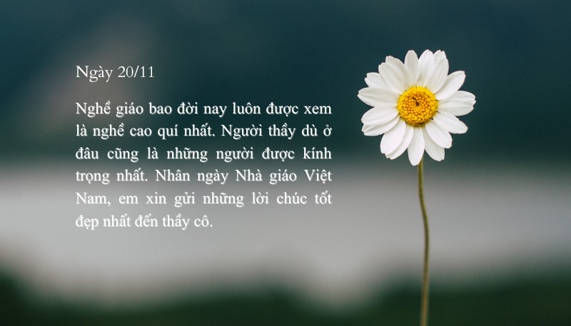 Hình ảnh thiệp 20/11 đẹp nhất tặng thầy cô giáo