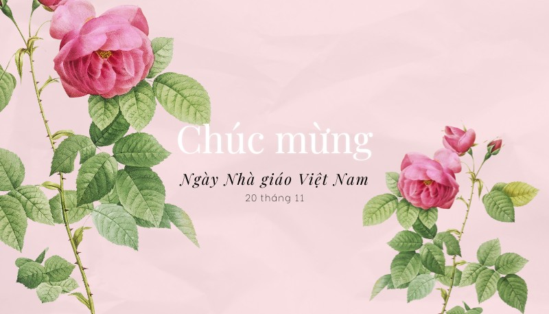 Hình ảnh thiệp 20/11 đẹp nhất tặng thầy cô giáo