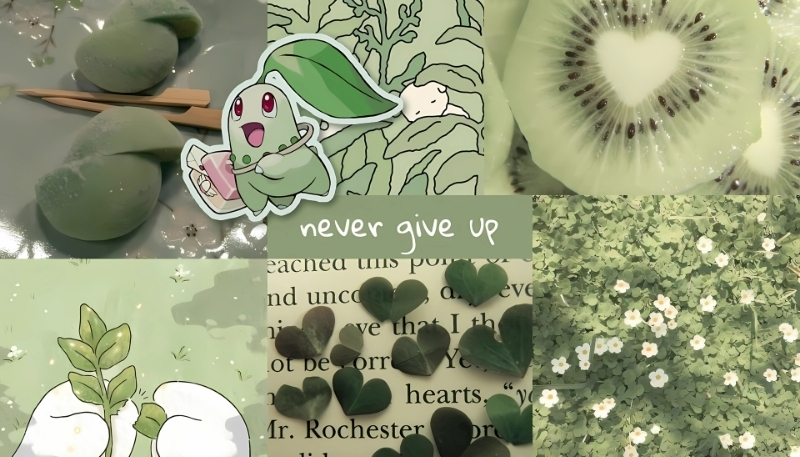những hình ảnh của pokemon