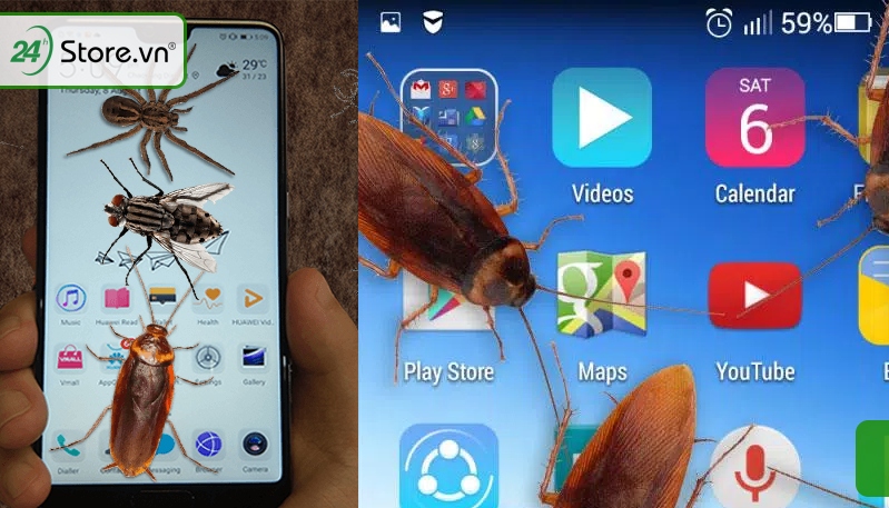 Cockroach in Phone Prank
