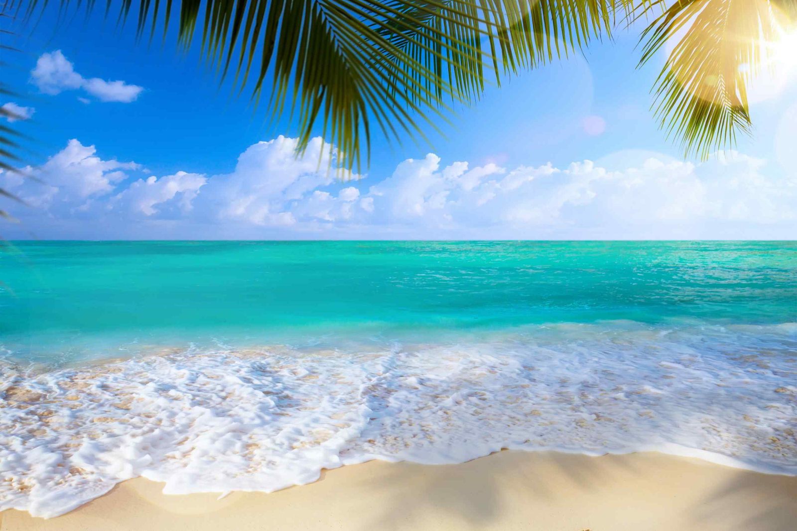 Hình nền bãi biển đẹp, chill cho máy tính
