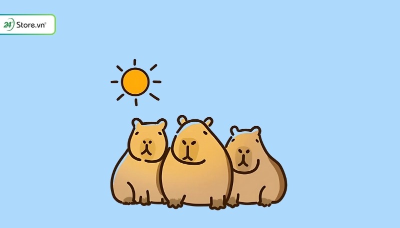hình ảnh nền capybara lưu ý tải ảnh