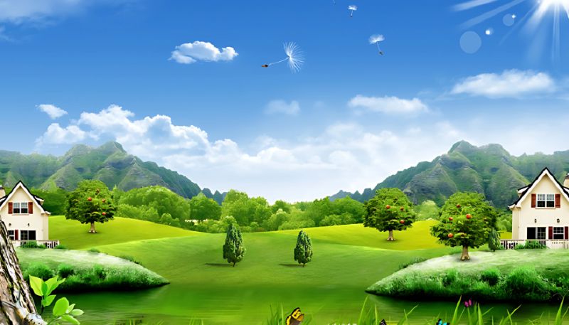 Hình nền cây xanh thảo nguyên thiên nhiên