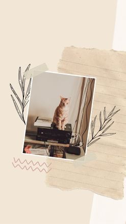 Hình nền lofi vinyl record