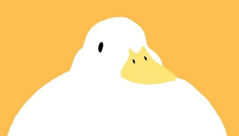Ảnh vịt cute, ngốc nghếch