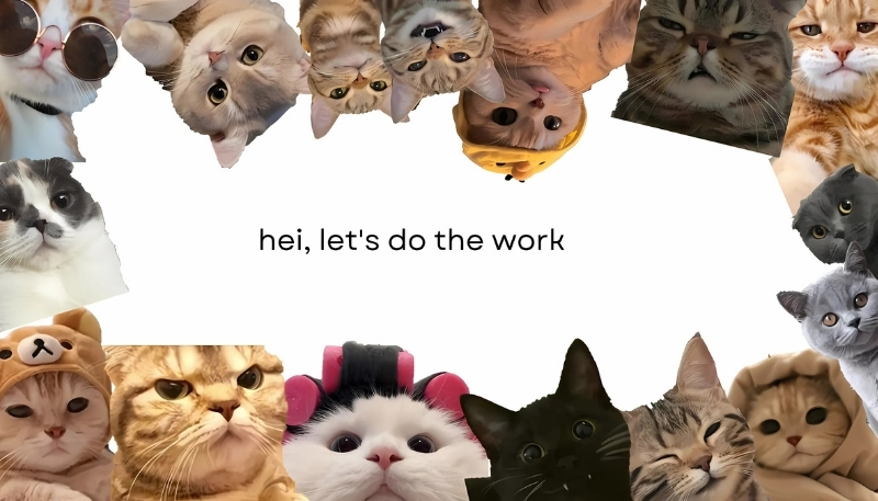 ảnh nền cute có chữ meme mèo dễ thương