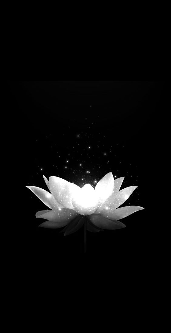 hình nền đen tang lễ