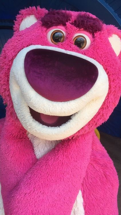 Hình nền gấu dâu Lotso ngoài đời thật