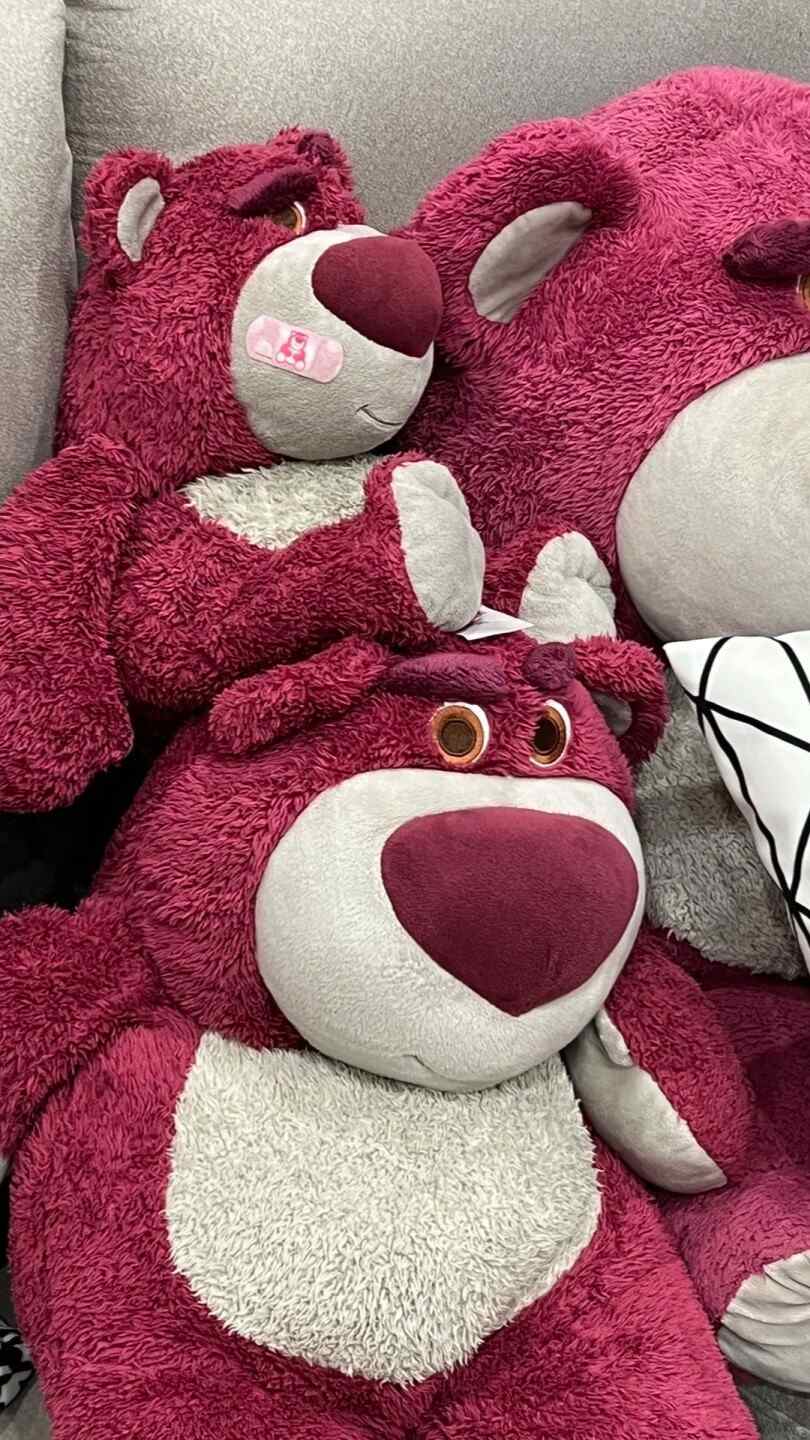 Hình nền gấu dâu Lotso ngoài đời thật