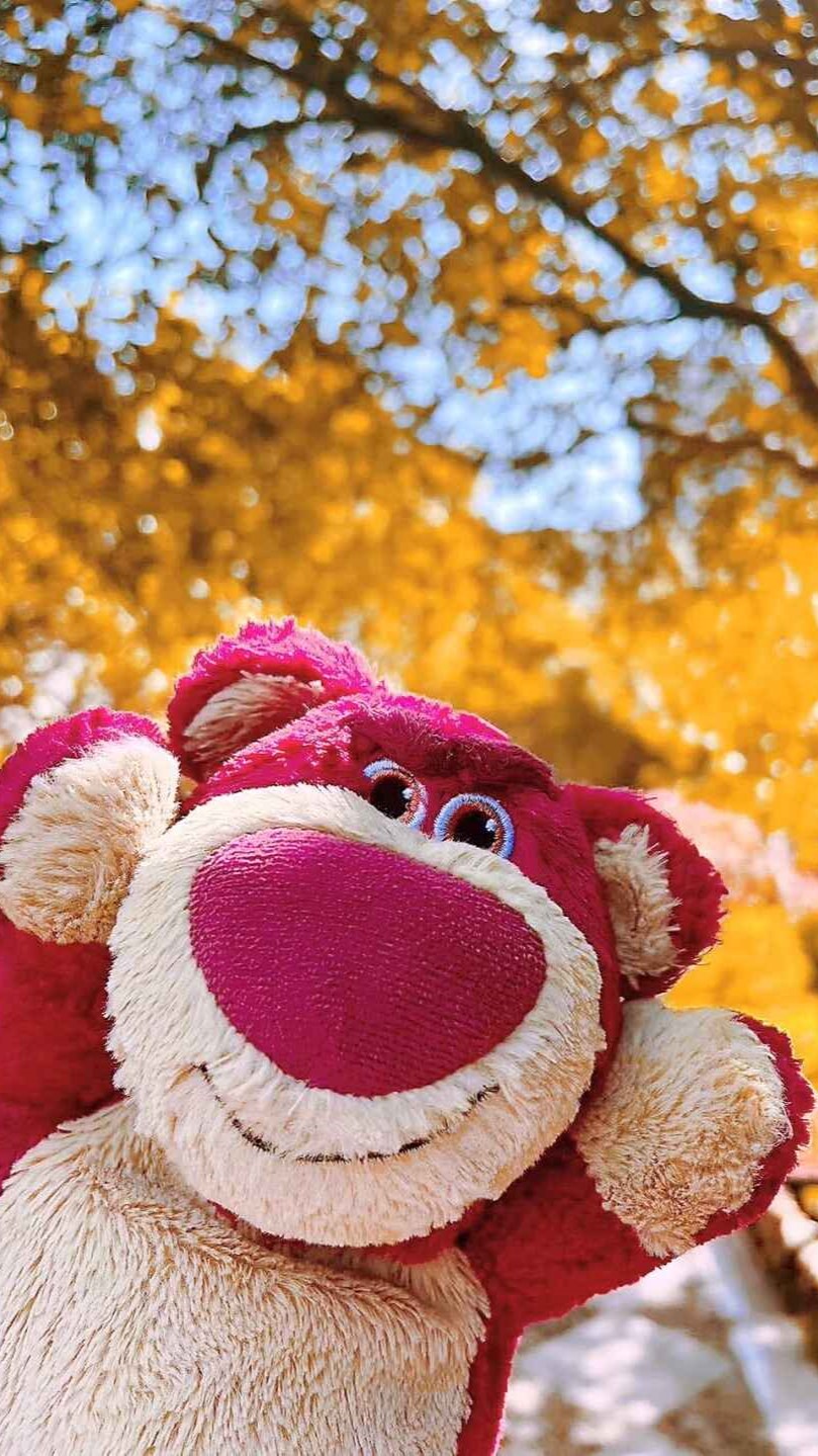 Hình nền gấu dâu Lotso ngoài đời thật