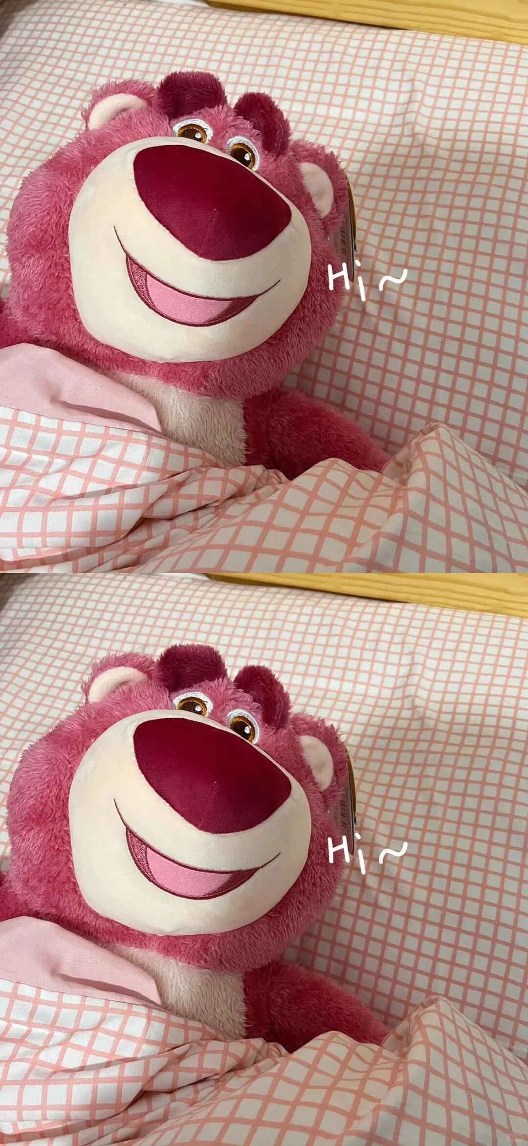 Hình nền gấu dâu Lotso ngoài đời thật