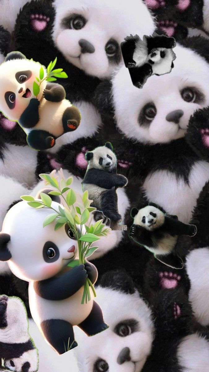 hình nền gấu trúc chibi