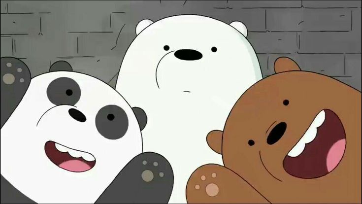 hình nền gấu trúc siêu ngầu