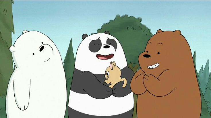 hình nền gấu trúc siêu ngầu