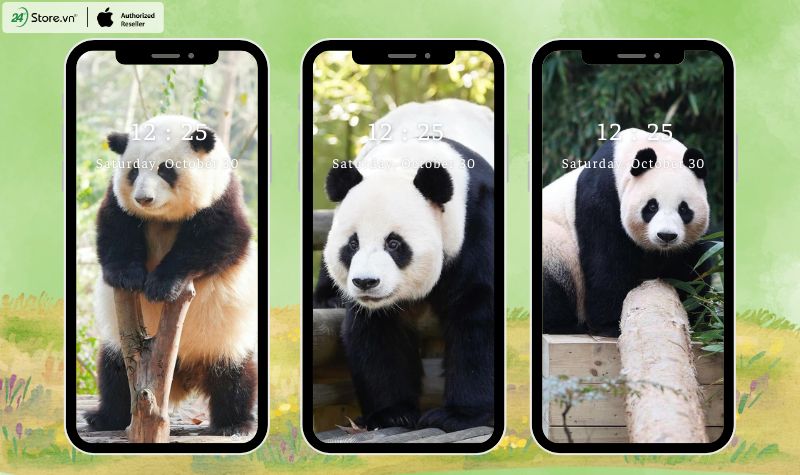 hình nền gấu trúc