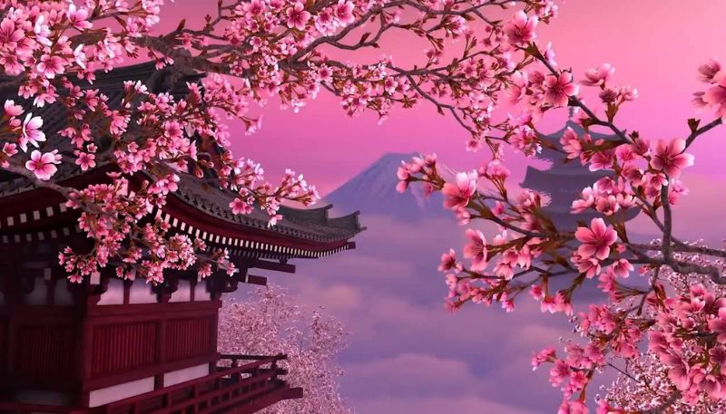 Hình nền hoa Đào anime