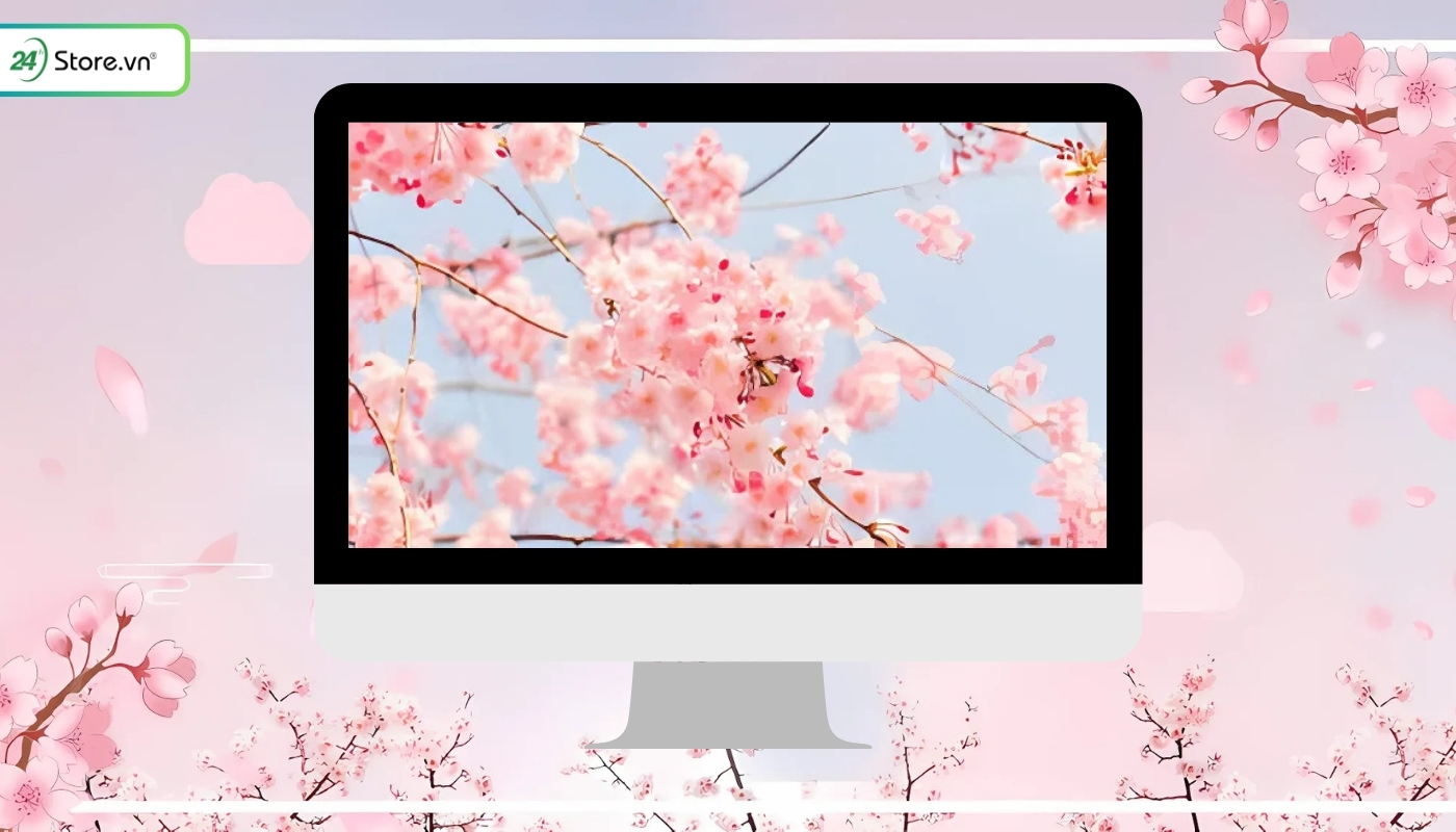 Hình nền hoa Đào cho máy tính