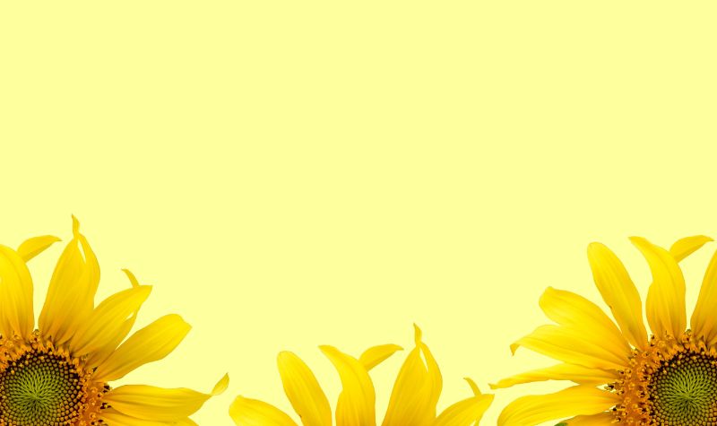 powerponit hoa hướng dương