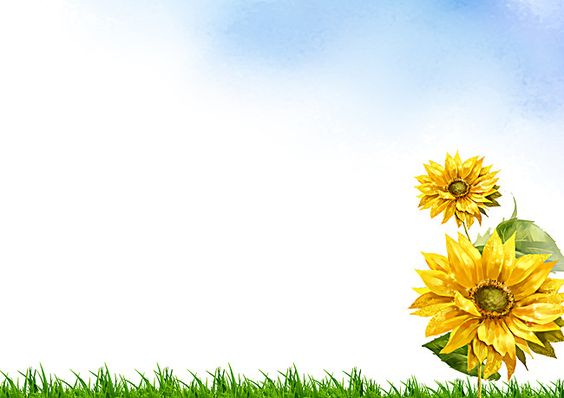 tải hình ảnh hoa hướng dương