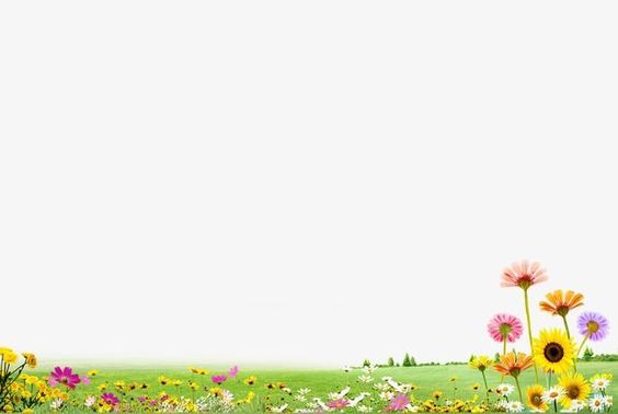 tải hình ảnh hoa hướng dương