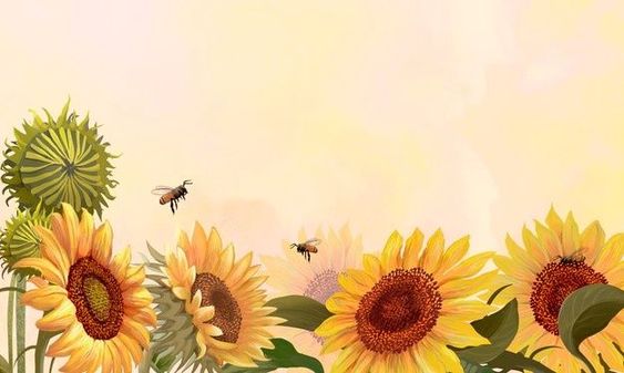 tải hình ảnh hoa hướng dương