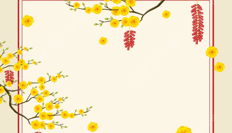 Background hoa Mai
